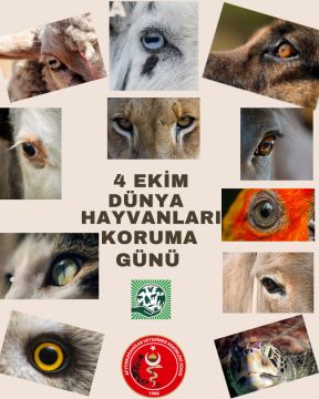 "4 EKİM DÜNYA HAYVANLARI KORUMA GÜNÜ"
